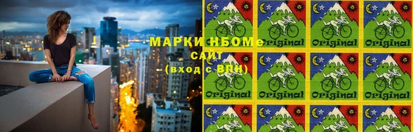 крисы Балахна