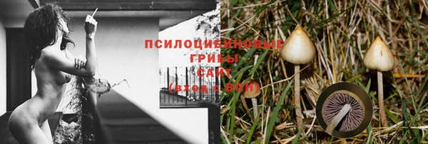крисы Балахна