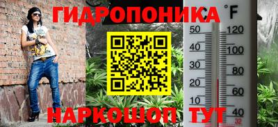 дмт Янаул