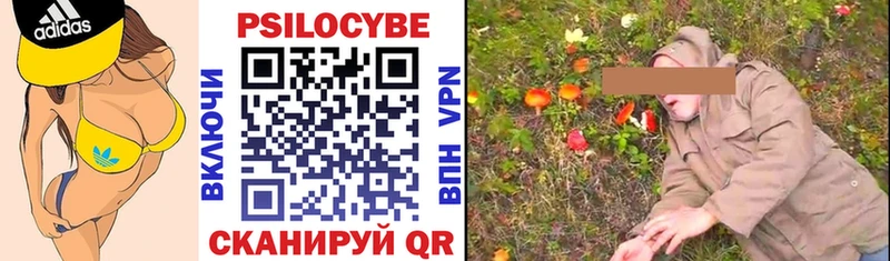 Псилоцибиновые грибы мицелий Новозыбков