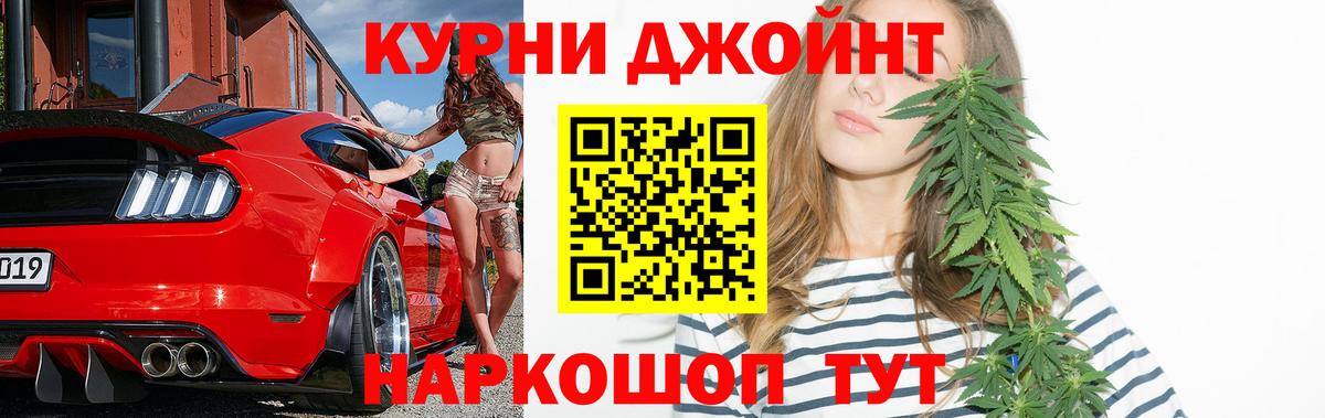 Конопля индика  Вход с VPN  Новозыбков  Конопля OG Kush 